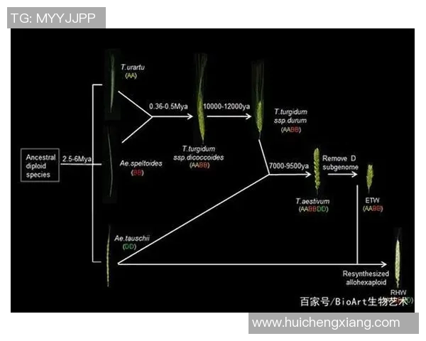 足球明星人物关系全景图揭示球场背后的友谊与竞争故事
