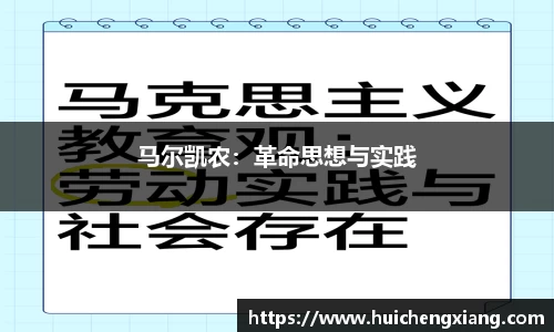 DG视讯