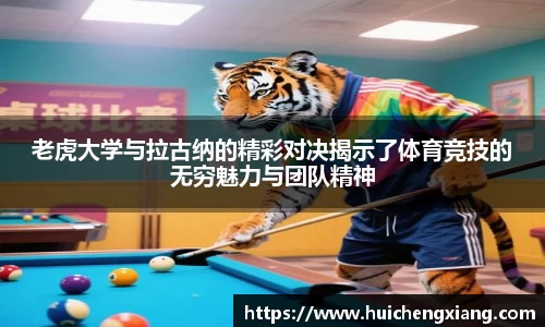 DG视讯平台