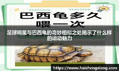 DG视讯官方网站